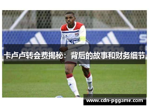 卡卢卢转会费揭秘：背后的故事和财务细节