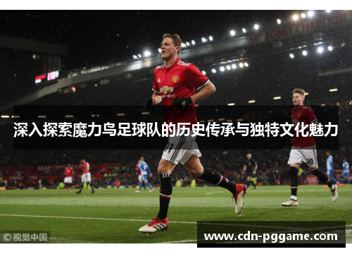 深入探索魔力鸟足球队的历史传承与独特文化魅力