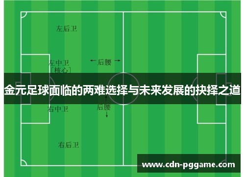 金元足球面临的两难选择与未来发展的抉择之道