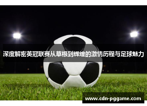 深度解密英冠联赛从草根到辉煌的激情历程与足球魅力