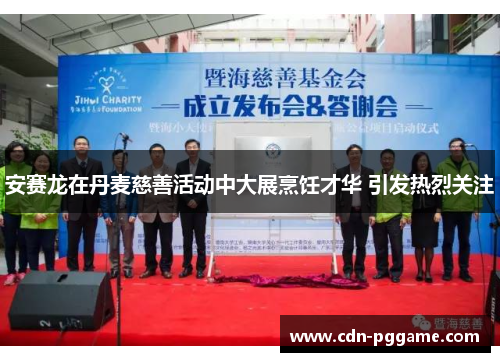 安赛龙在丹麦慈善活动中大展烹饪才华 引发热烈关注